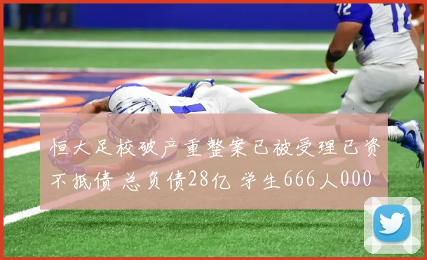 恒大足校破产重整案已被受理已资不抵债 总负债28亿 学生666人0000644